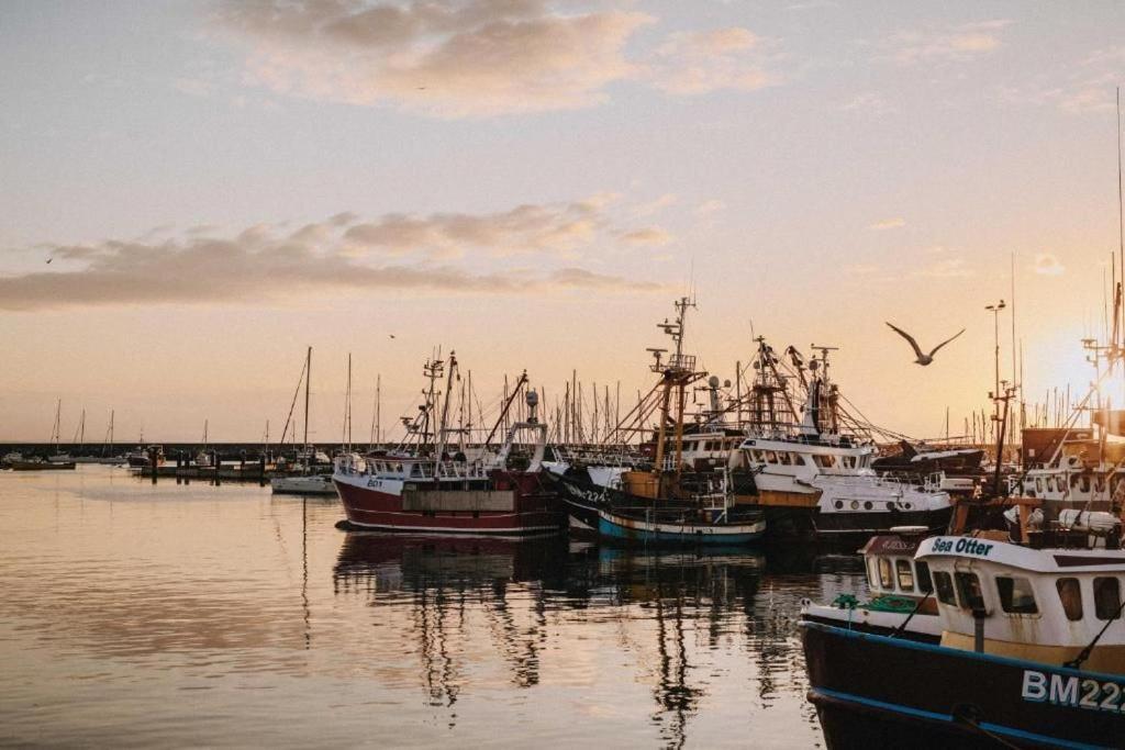 Limpet Cottage Brixham Εξωτερικό φωτογραφία